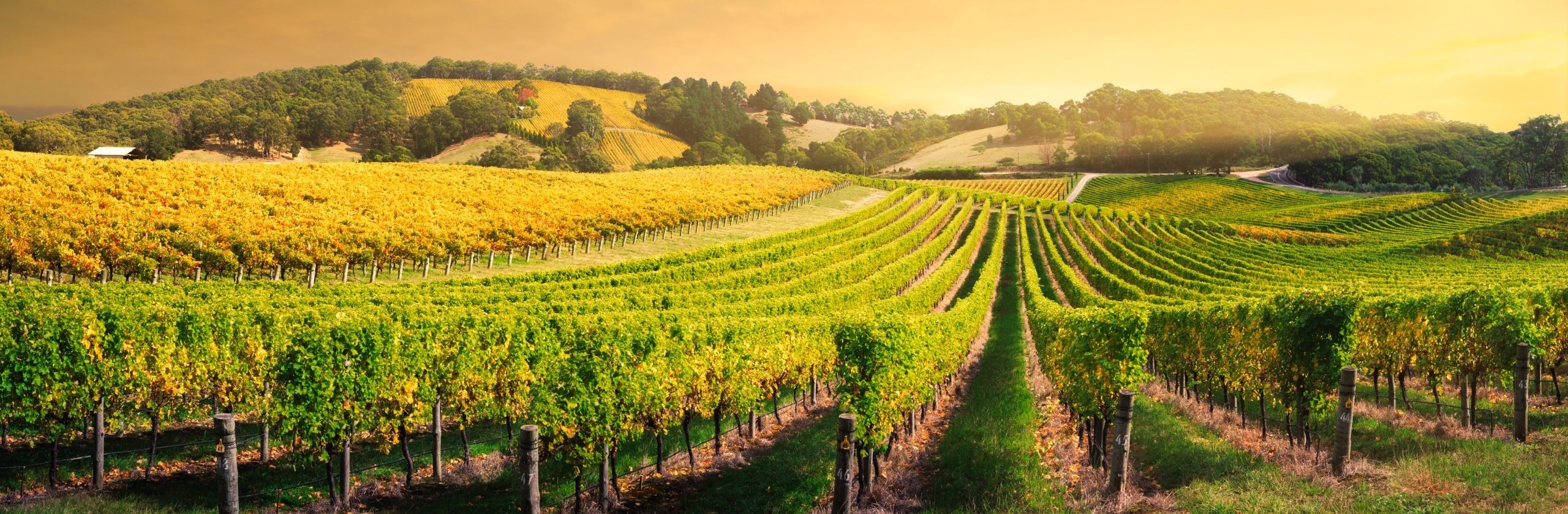 Adelaide Hills 