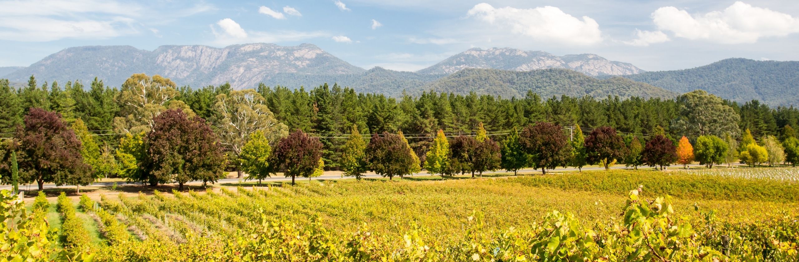 Alpine Valleys