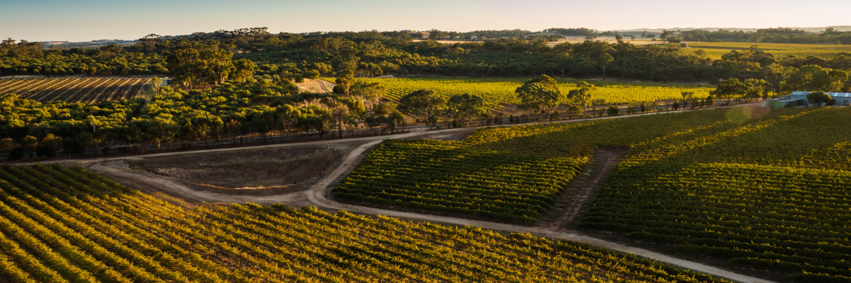 Barossa Valley