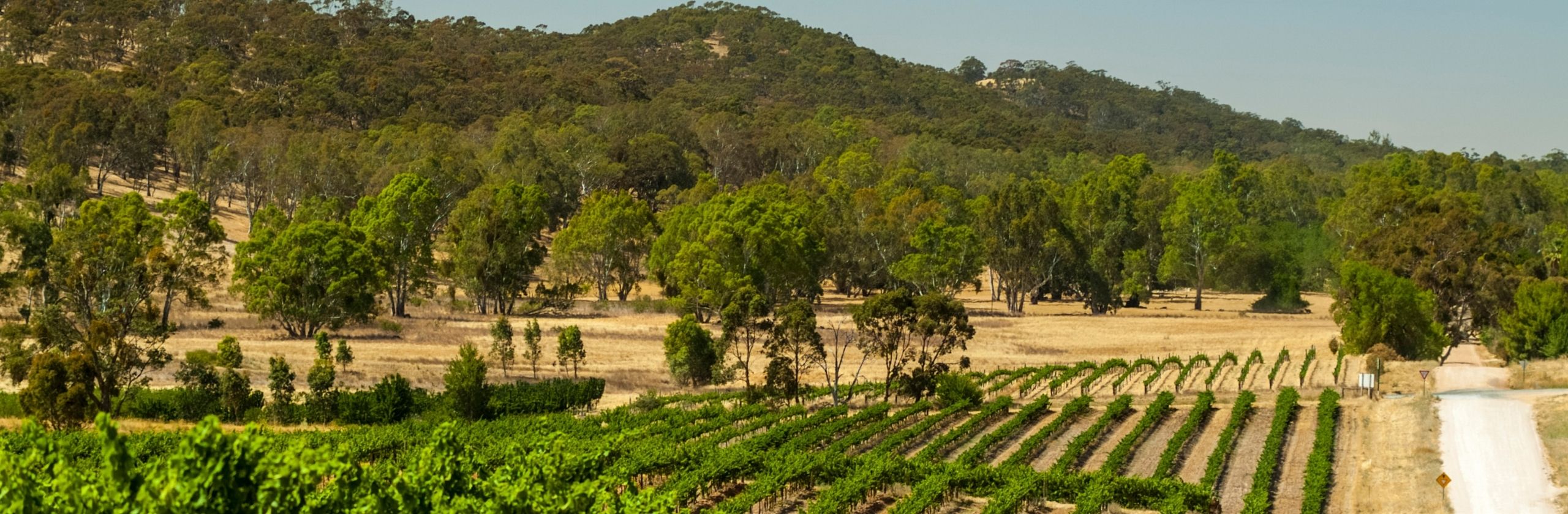 Clare Valley 