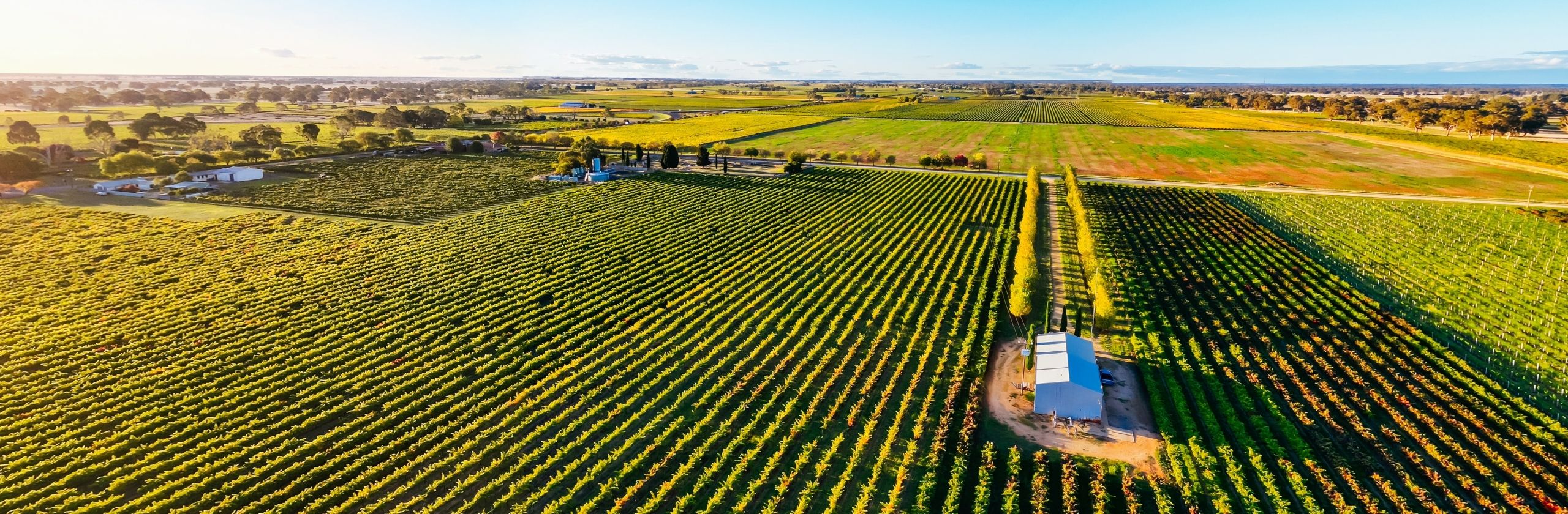Coonawarra