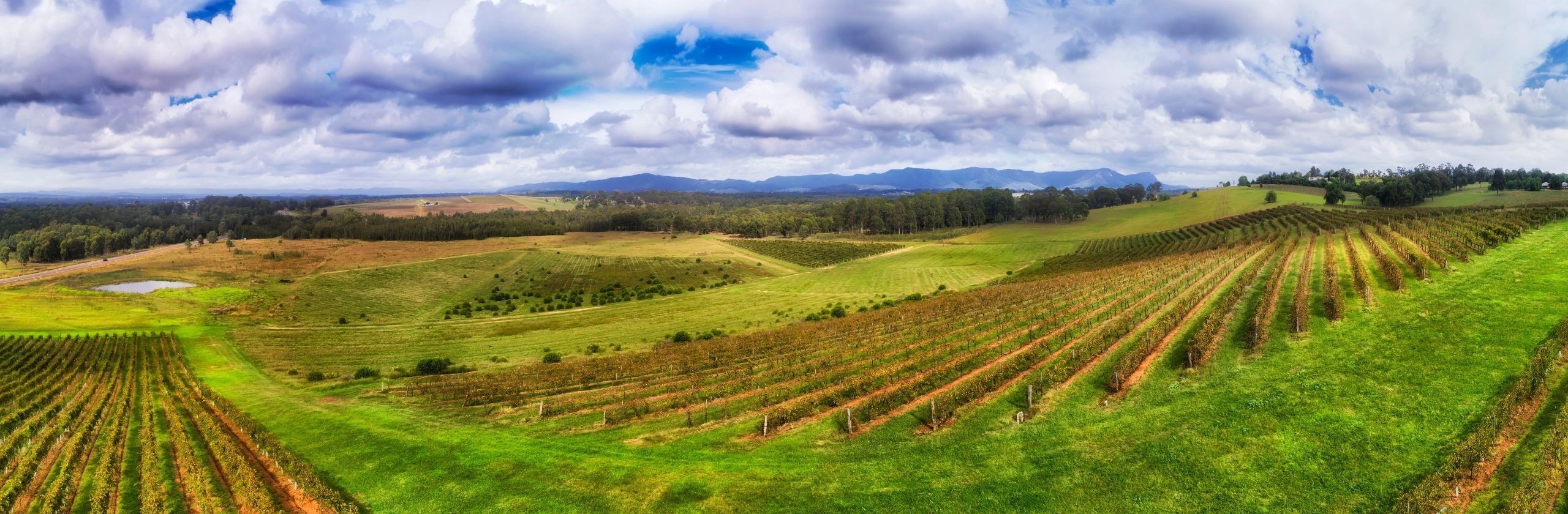 Hunter Valley