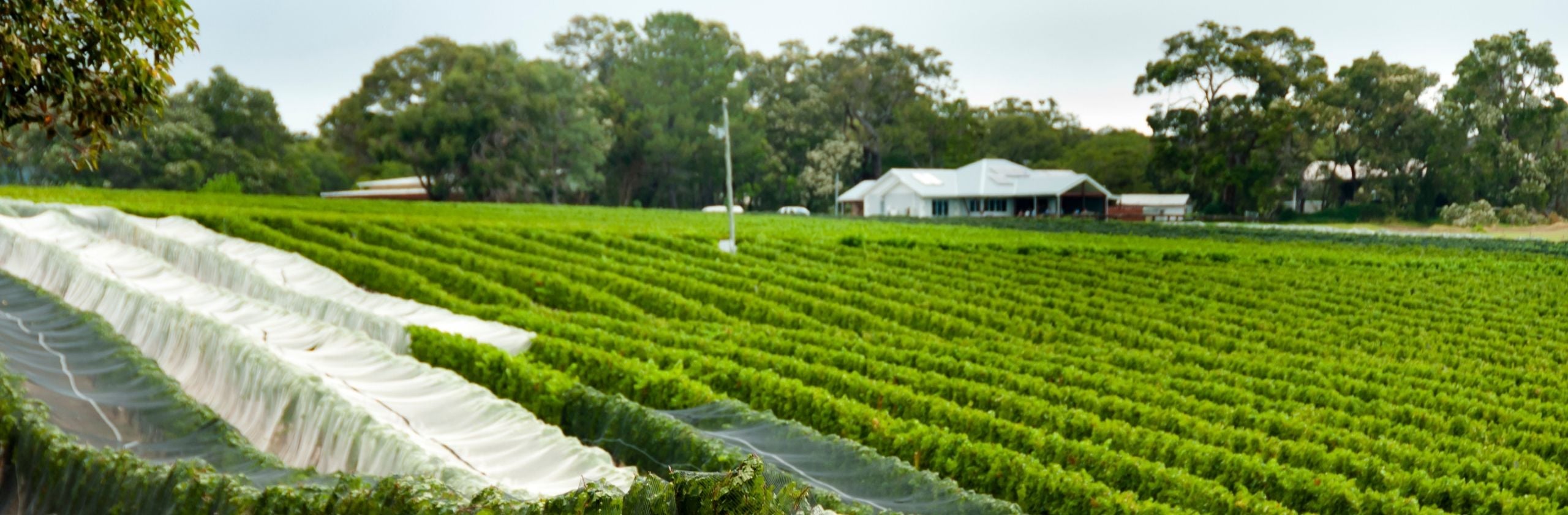 Margaret River