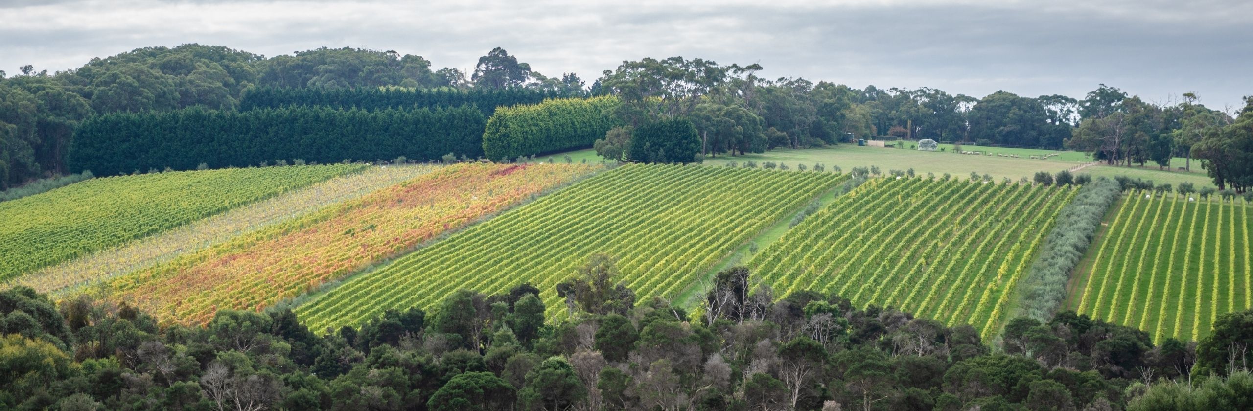 Mornington Peninsula