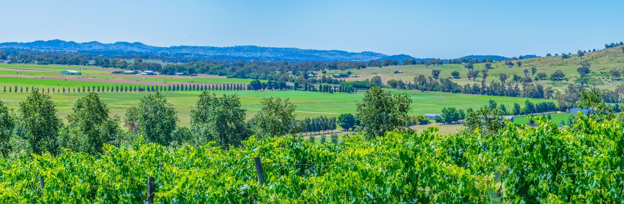 Mudgee