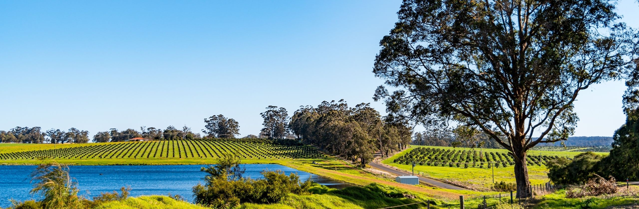 Perth Hills