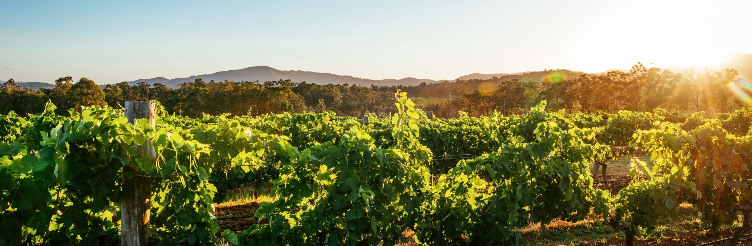 Riverina