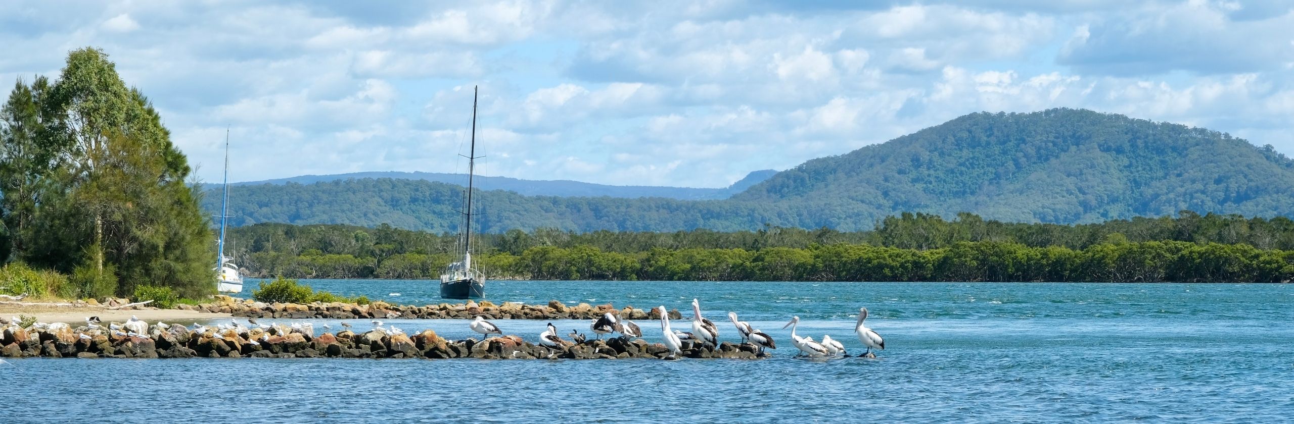 Shoalhaven Coast