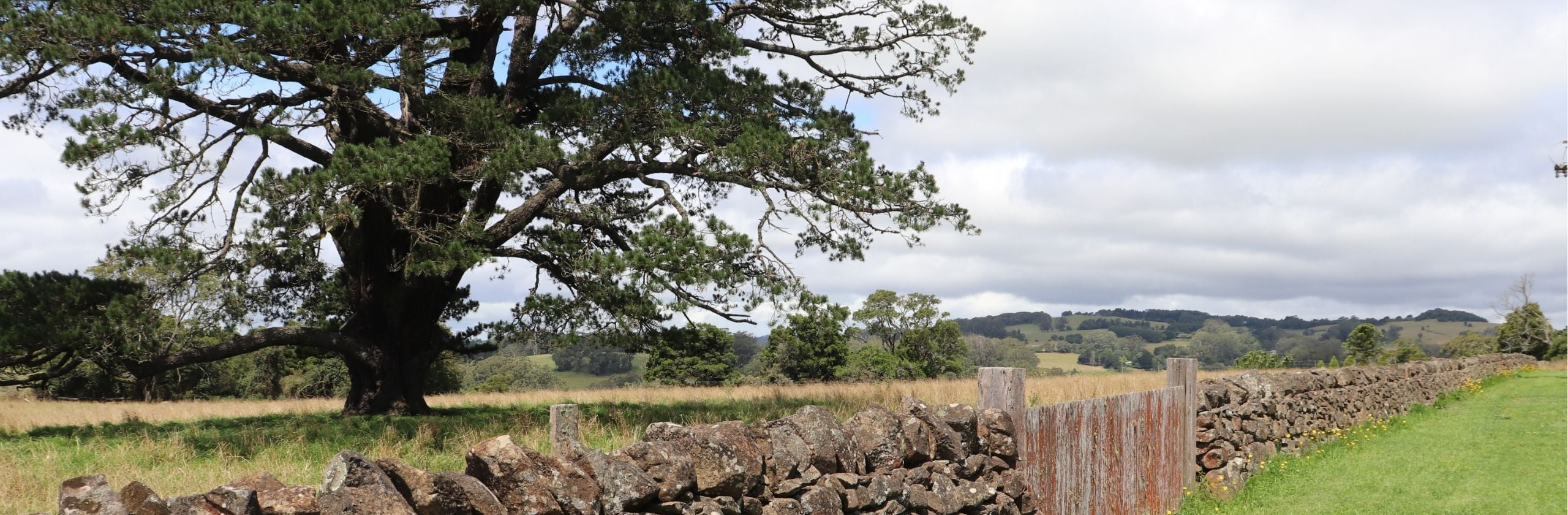 Southern Highlands