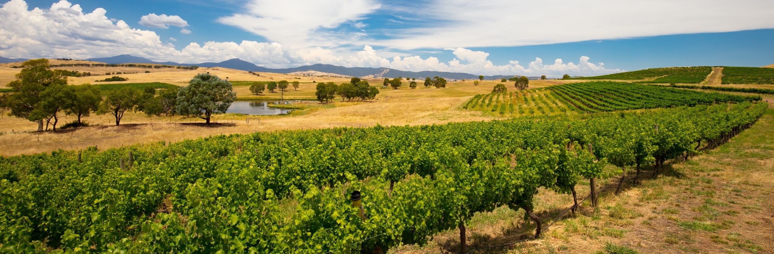 Upper Goulburn