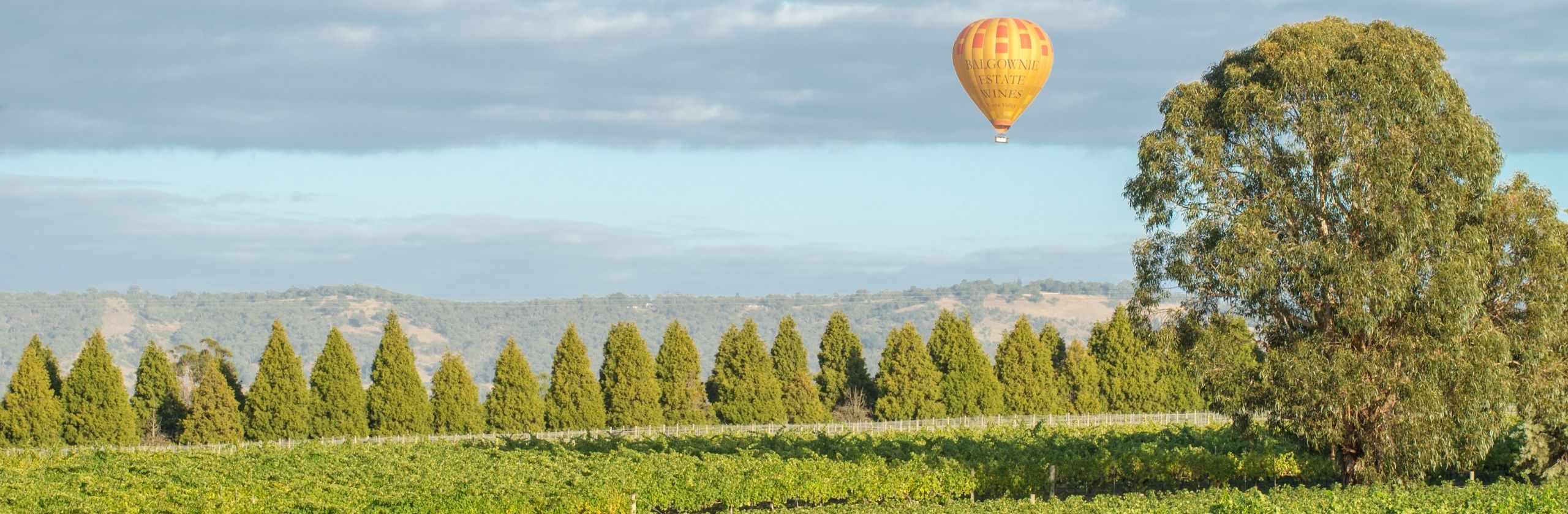Yarra Valley