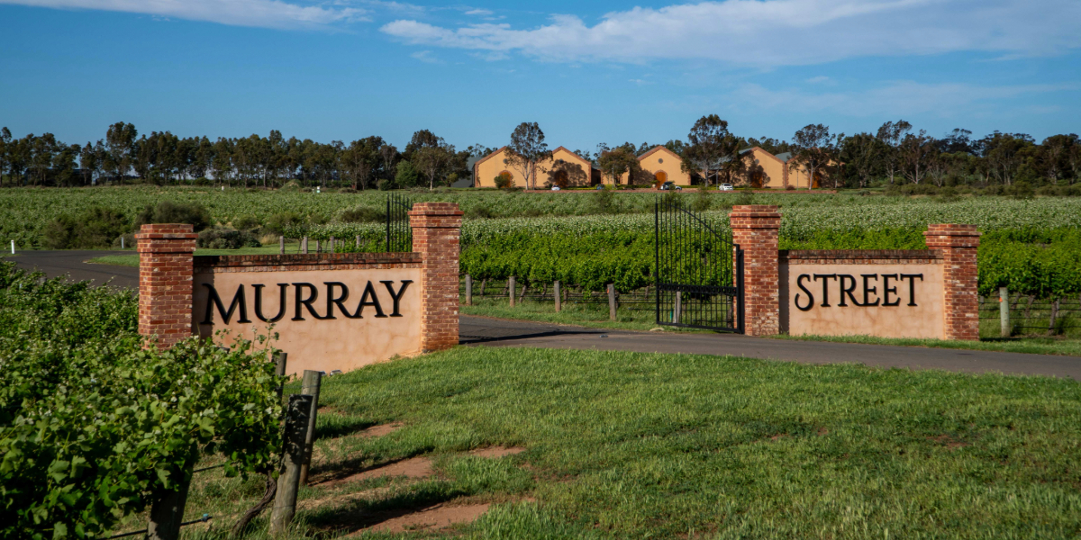 Murray Street Vineyards