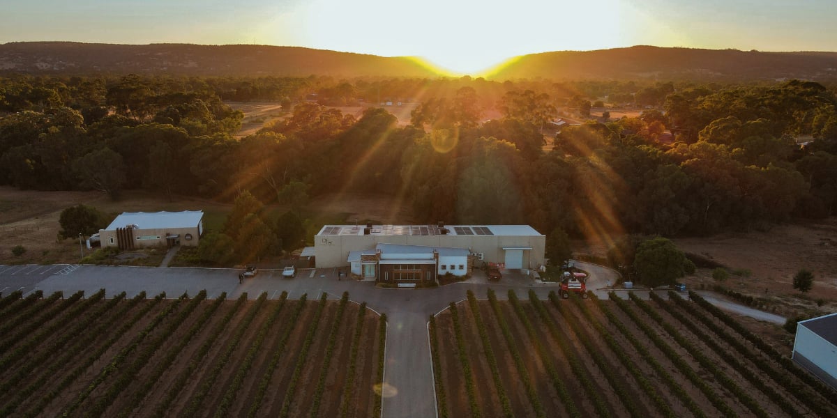 Olive Farm Wines