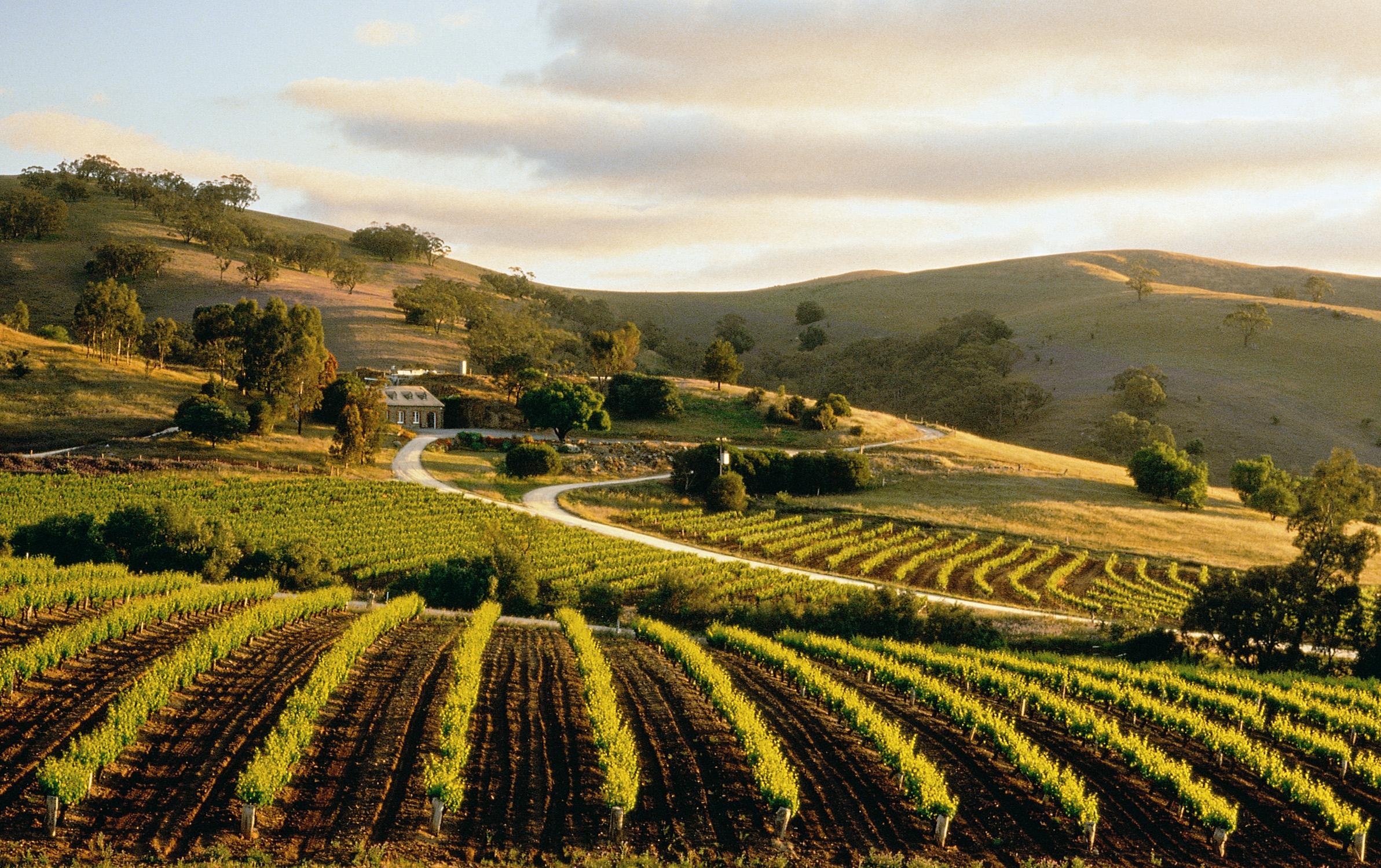 Bethany Wines