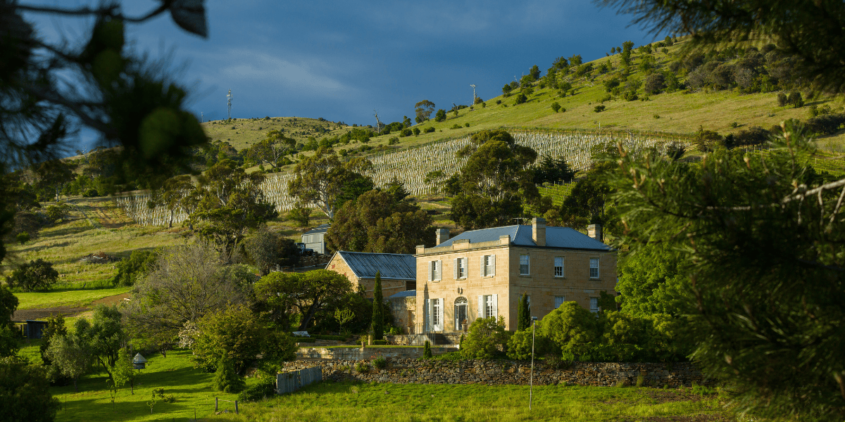 Pooley Wines